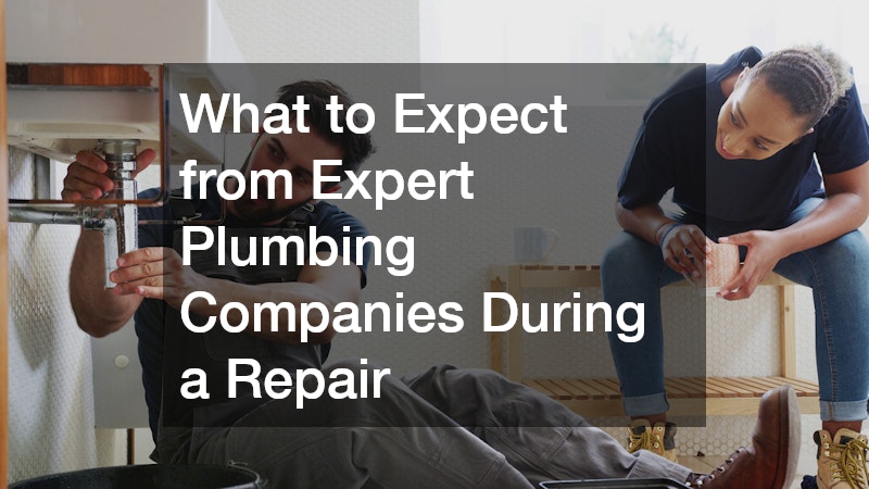 What to Expect from Expert Plumbing Companies During a Repair